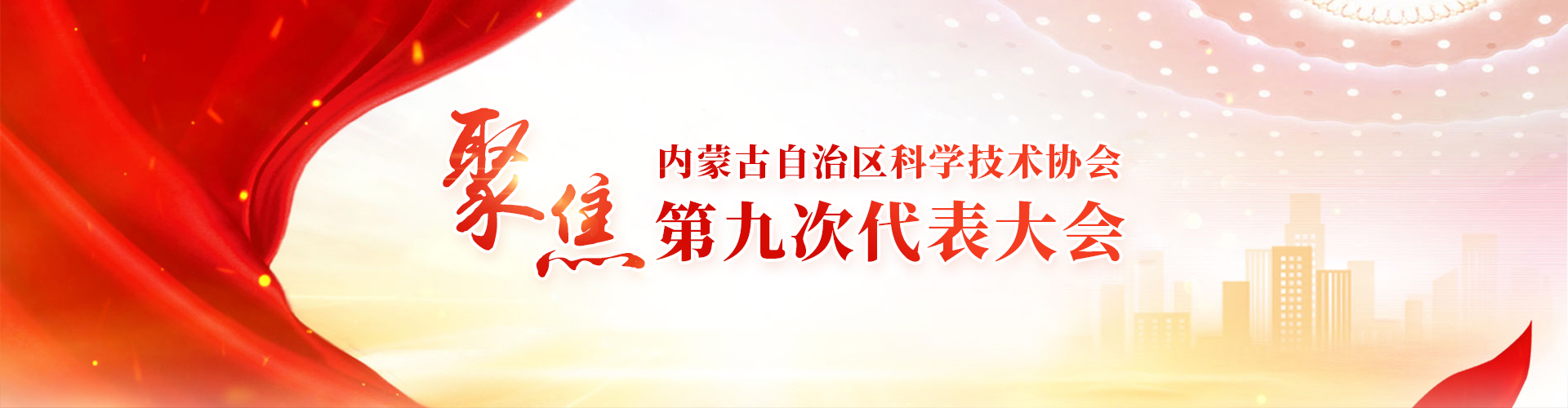 聚焦第九次代表大会